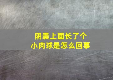 阴囊上面长了个小肉球是怎么回事