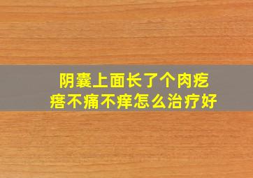 阴囊上面长了个肉疙瘩不痛不痒怎么治疗好