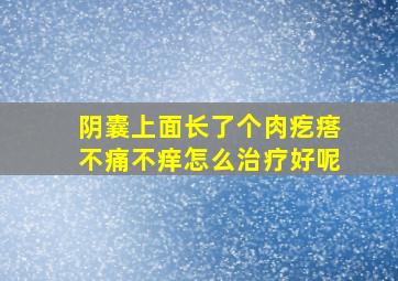 阴囊上面长了个肉疙瘩不痛不痒怎么治疗好呢