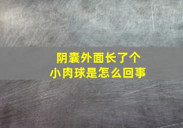 阴囊外面长了个小肉球是怎么回事