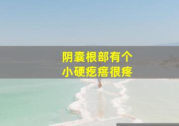 阴囊根部有个小硬疙瘩很疼