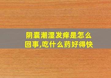 阴囊潮湿发痒是怎么回事,吃什么药好得快