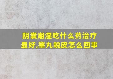 阴囊潮湿吃什么药治疗最好,睾丸蜕皮怎么回事