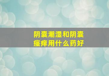 阴囊潮湿和阴囊瘙痒用什么药好