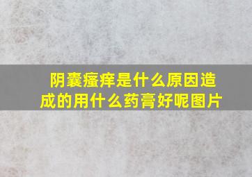 阴囊瘙痒是什么原因造成的用什么药膏好呢图片