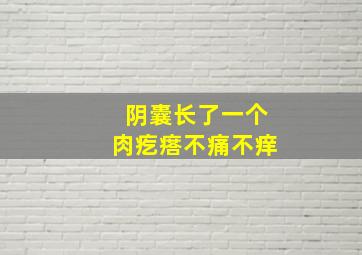 阴囊长了一个肉疙瘩不痛不痒