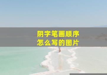 阴字笔画顺序怎么写的图片