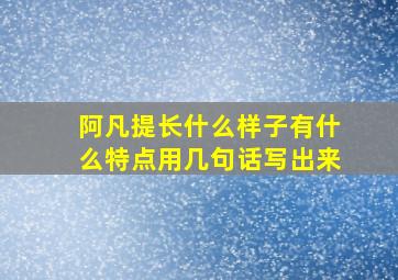 阿凡提长什么样子有什么特点用几句话写出来