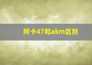 阿卡47和akm区别