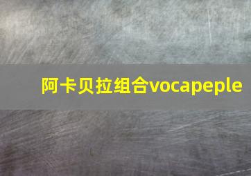 阿卡贝拉组合vocapeple