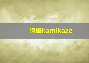 阿姆kamikaze