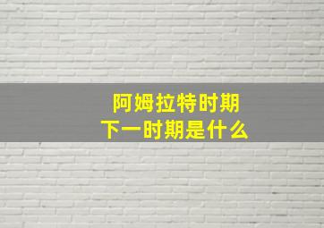 阿姆拉特时期下一时期是什么