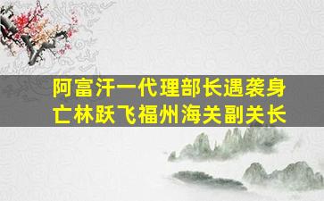 阿富汗一代理部长遇袭身亡林跃飞福州海关副关长