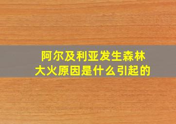 阿尔及利亚发生森林大火原因是什么引起的