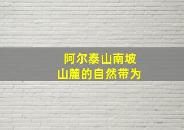 阿尔泰山南坡山麓的自然带为