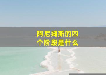 阿尼姆斯的四个阶段是什么