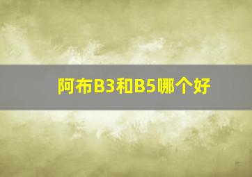 阿布B3和B5哪个好