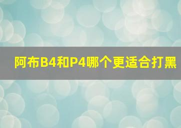 阿布B4和P4哪个更适合打黑