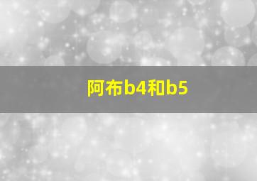 阿布b4和b5