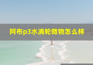 阿布p3水滴轮微物怎么样