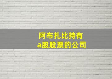 阿布扎比持有a股股票的公司