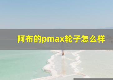 阿布的pmax轮子怎么样