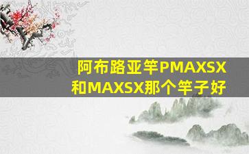 阿布路亚竿PMAXSX和MAXSX那个竿子好