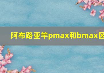 阿布路亚竿pmax和bmax区别