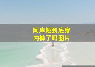 阿库娅到底穿内裤了吗图片