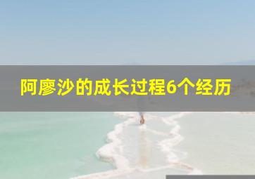 阿廖沙的成长过程6个经历