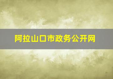 阿拉山口市政务公开网