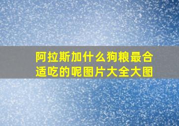 阿拉斯加什么狗粮最合适吃的呢图片大全大图