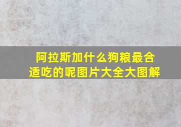 阿拉斯加什么狗粮最合适吃的呢图片大全大图解