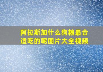 阿拉斯加什么狗粮最合适吃的呢图片大全视频