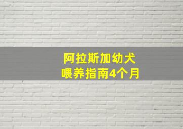 阿拉斯加幼犬喂养指南4个月