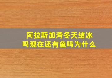 阿拉斯加湾冬天结冰吗现在还有鱼吗为什么