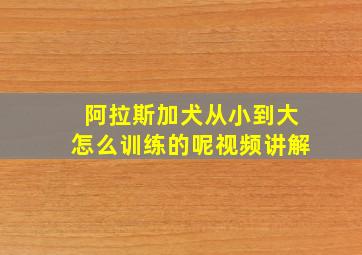 阿拉斯加犬从小到大怎么训练的呢视频讲解