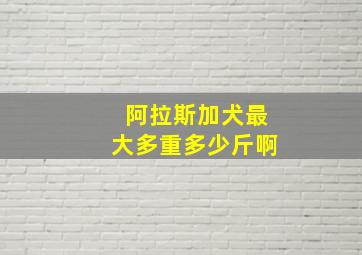 阿拉斯加犬最大多重多少斤啊