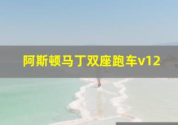 阿斯顿马丁双座跑车v12