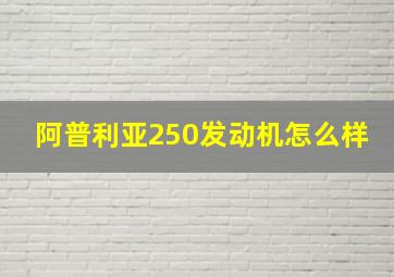 阿普利亚250发动机怎么样