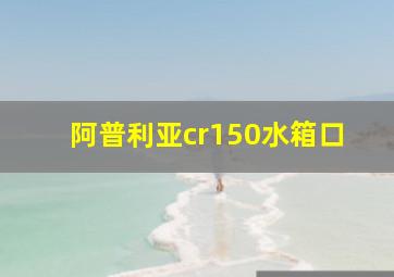 阿普利亚cr150水箱口