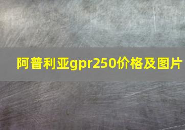 阿普利亚gpr250价格及图片