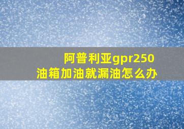 阿普利亚gpr250油箱加油就漏油怎么办