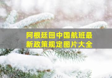 阿根廷回中国航班最新政策规定图片大全