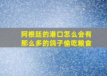 阿根廷的港口怎么会有那么多的鸽子偷吃粮食