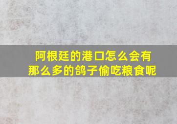 阿根廷的港口怎么会有那么多的鸽子偷吃粮食呢