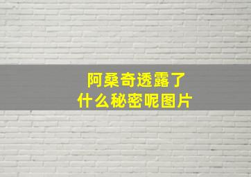 阿桑奇透露了什么秘密呢图片