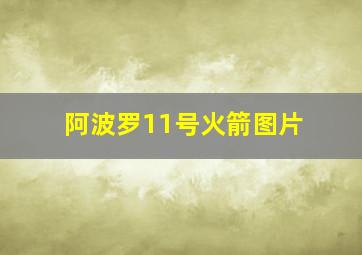 阿波罗11号火箭图片