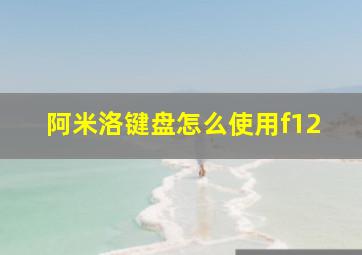 阿米洛键盘怎么使用f12