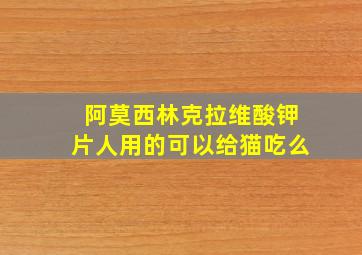 阿莫西林克拉维酸钾片人用的可以给猫吃么